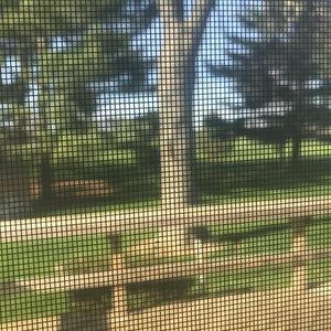 Meet your Posher, Mj